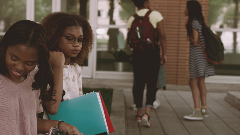 Diversity Short